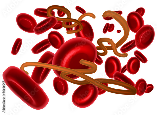 Ebola Virus and Red Blood Cells