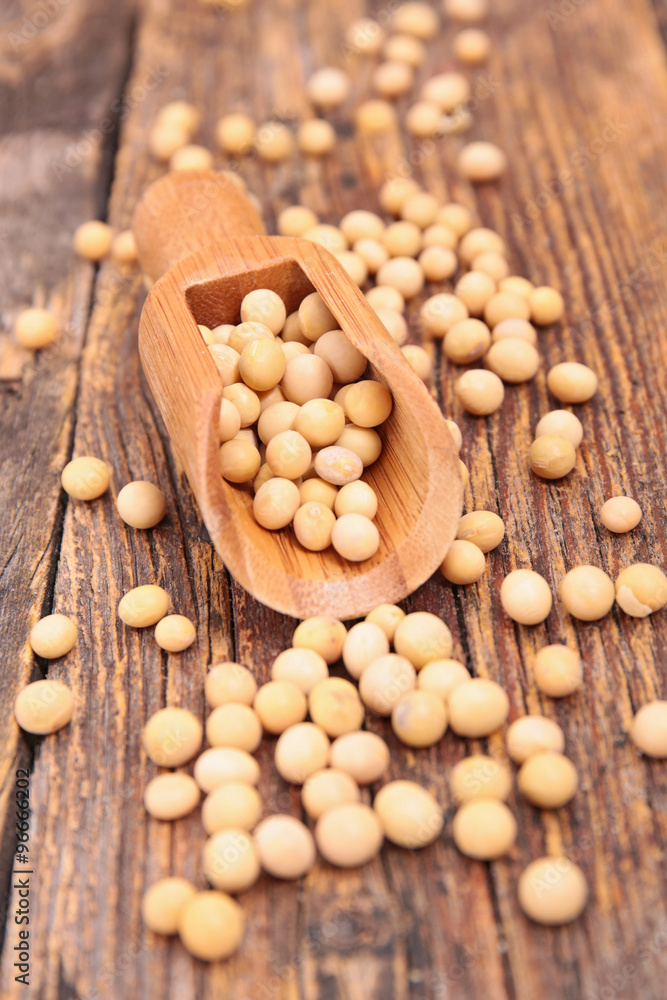 soy bean soy bean