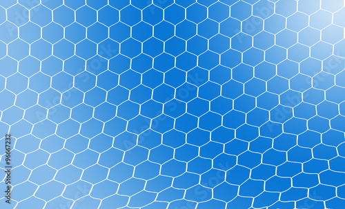 football net and sky