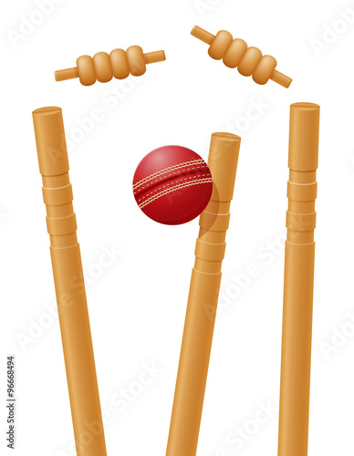 cricket ball caught in the wicket vector illustration