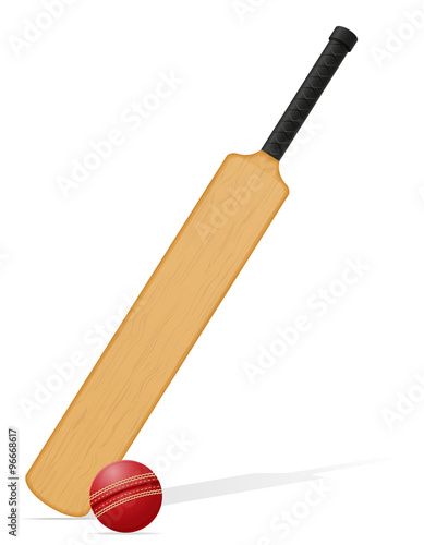 cricket bat and ball vector illustration