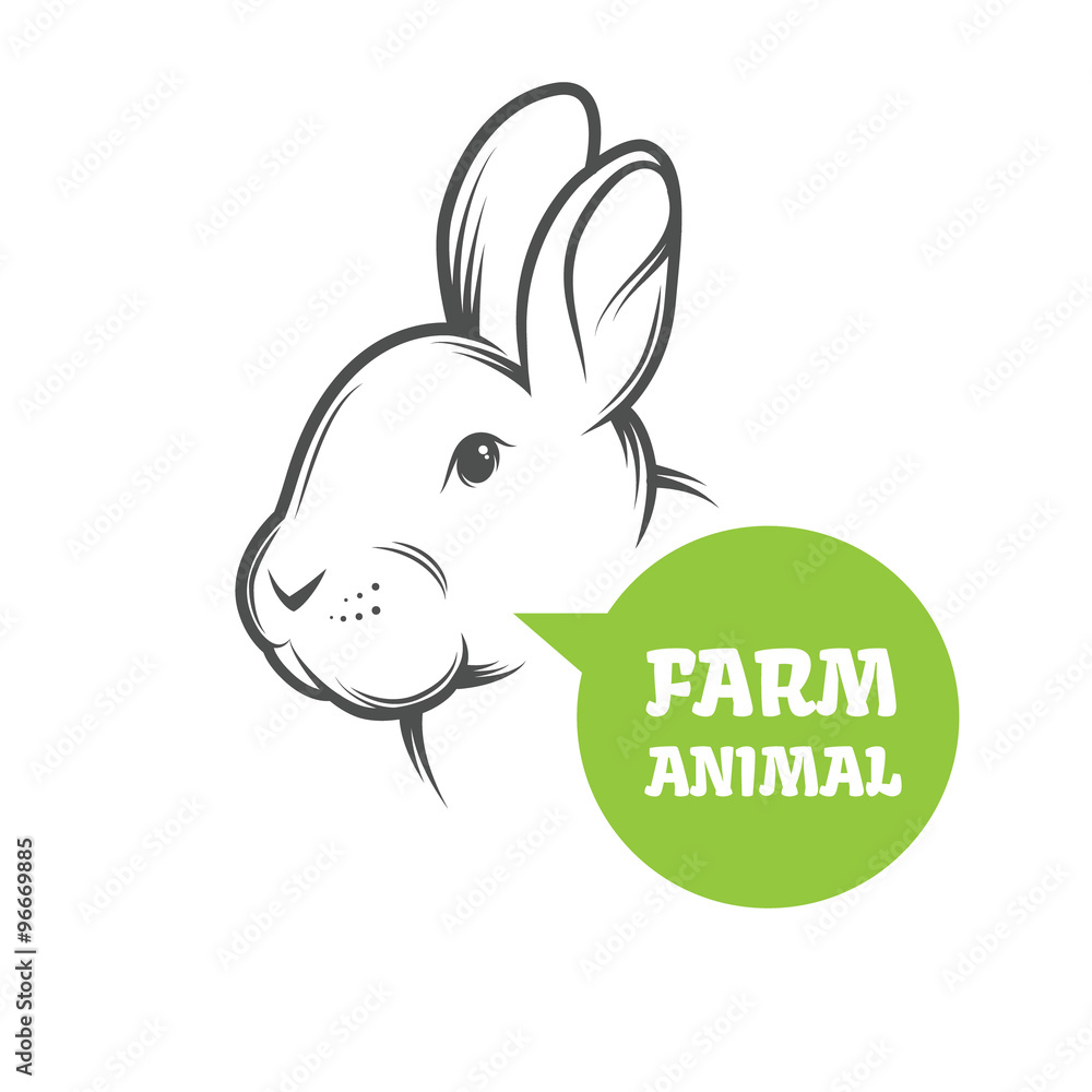 Vector Rabbit Farm Vector Rabbit Farm