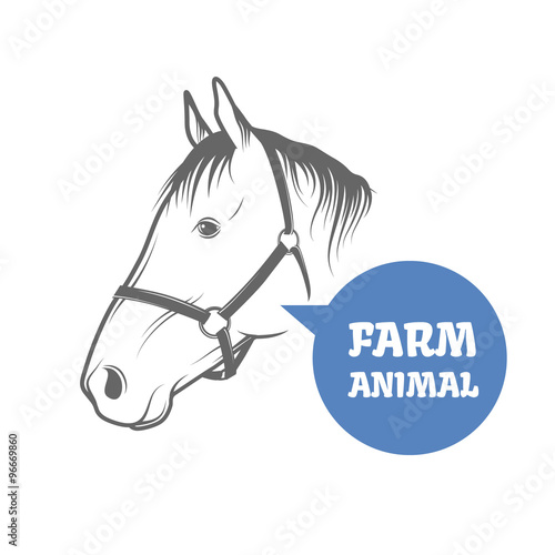 Horse vector head 