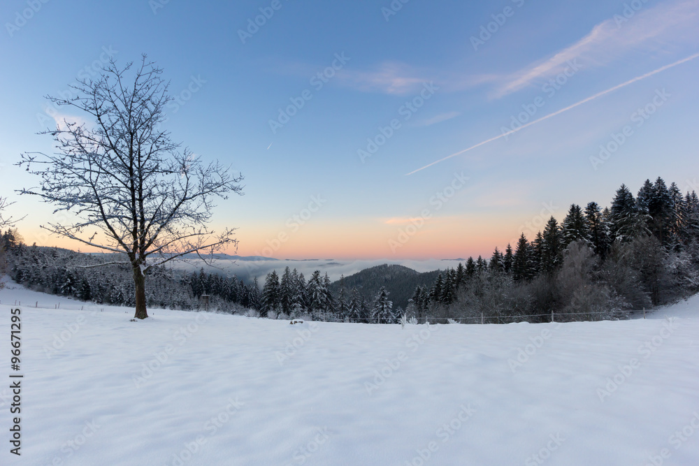 Winterlandschaft Schwarzwald
