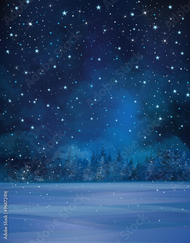 Vector winter night scene, starry sky, snow and forest backgroun