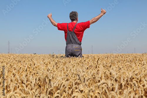 Agriculture, farmer gesturing in wheat field with thumbs up