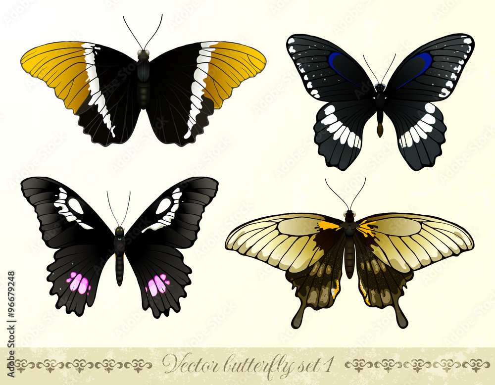 Vector butterflies set Vector butterflies set