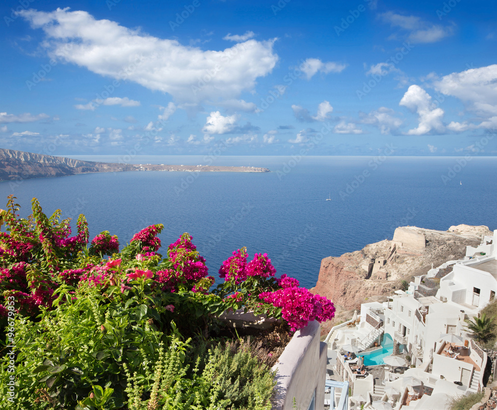 Santorini - The flower over Oia resorts.