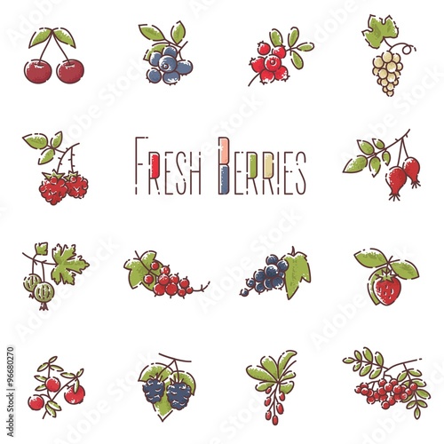 Vector linear berries icons set