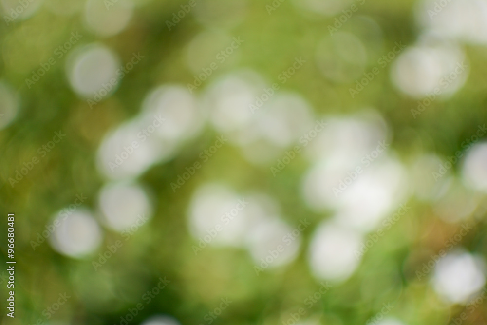 Obraz premium Bokeh from flower