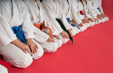 Ingelijste posters Vechtsport Karate les voor kinderen  © fotoinfot
