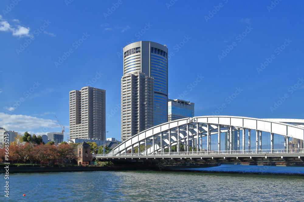 Fototapeta premium 大川に架かる桜宮橋