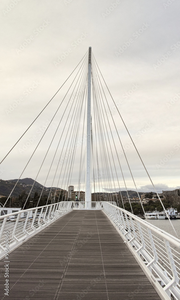 Obraz premium suspension bridge