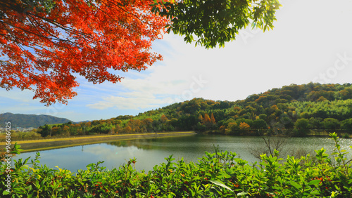 鏡山公園　奥田大池