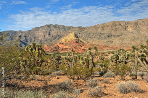 landscape in Grand Canyon National Park, Arizona, United States