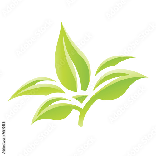 Green Glossy Leaves Icon