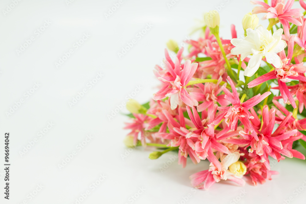 Rangoon creeper, a vine with red flower clusters.