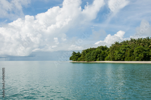 Island with trees at Phang Nga Bay near Krabi and Phuket