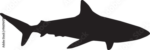 shark silhouette logo