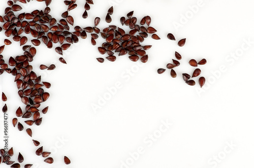 seeds of Japanese quince on white surface