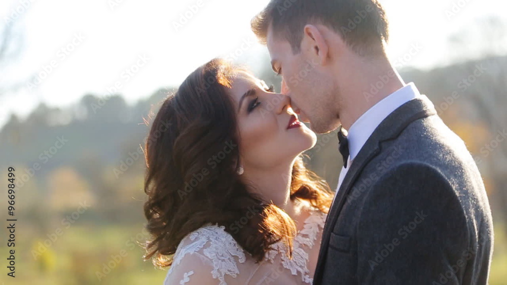 the groom kisses the bride in a park at sunset the sun shot in slow motion close up the groom kisses the bride in a park at sunset the sun shot in slow motion close up