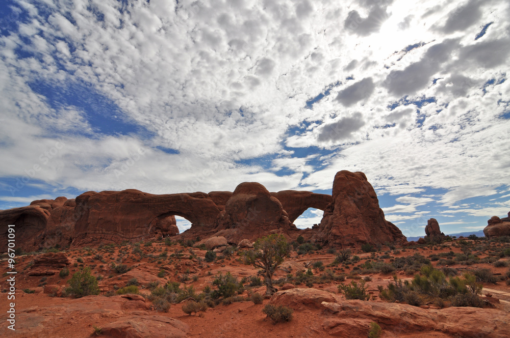 Arches National Park, Moab Utah USA Arches National Park, Moab Utah USA