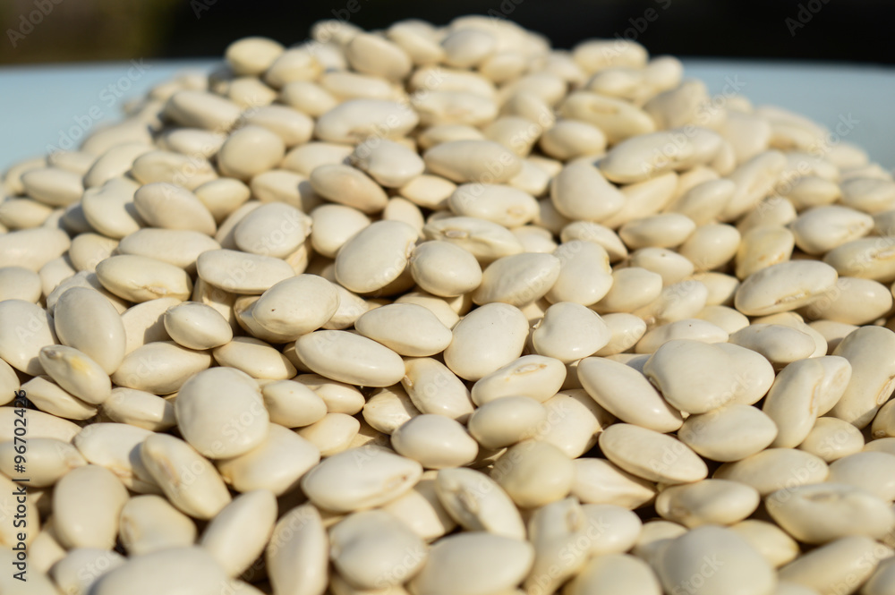 beans. many white beans beans. many white beans