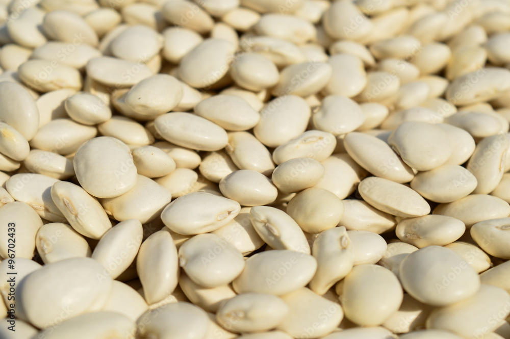 beans. many white beans beans. many white beans