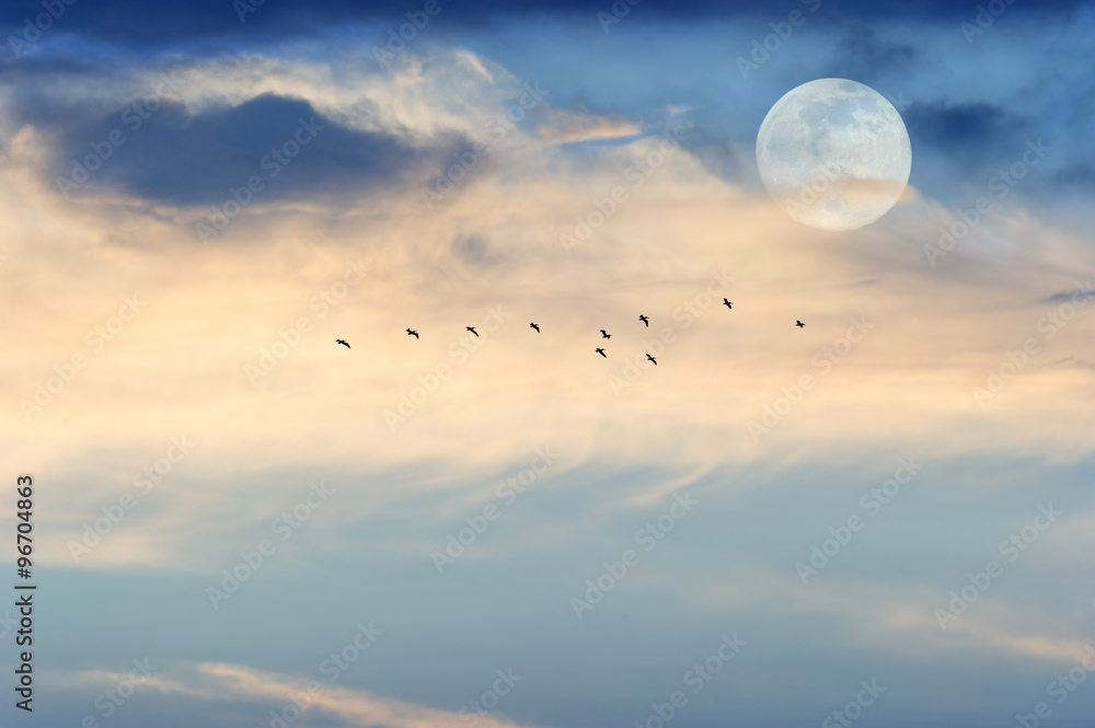 Fototapeta premium Moon Clouds