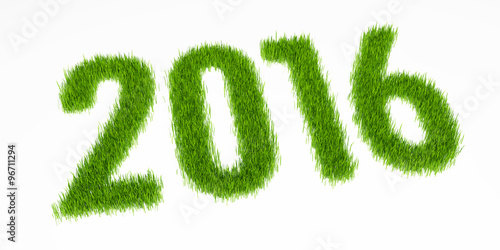 New year 2016 from grass