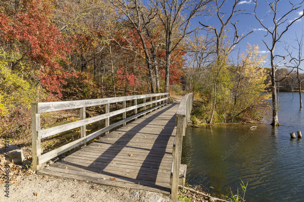 Fall Trail Bridge Scenic