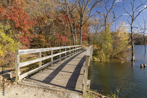 Fall Trail Bridge Scenic