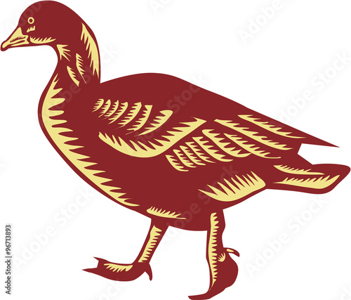Duck Walking Side Woodcut