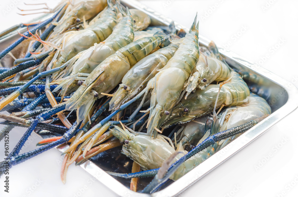 raw river prawn raw river prawn