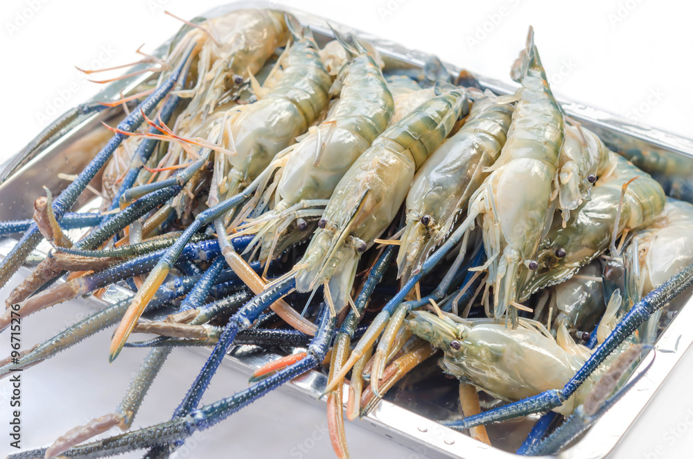 raw river prawn raw river prawn