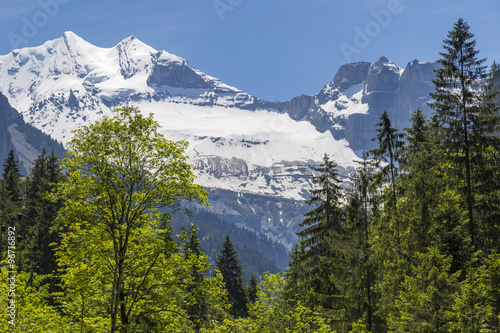 Swiss Alps seen through forest in Blausee or Blue Lake nature park near Kandersteg, Switzerland
