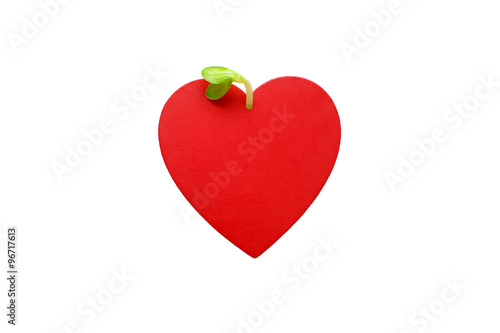 green sprout plants from red heart. plant sprout emerges from a red heart, isolated on white background. the concept of love, pregnancy, growth and development  © EvgeniiAnd