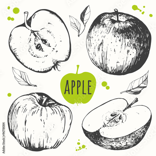 Hand drawn apples fruit. Fresh organic food. 