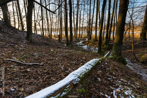 Landscape of late autumnal forest with first snow