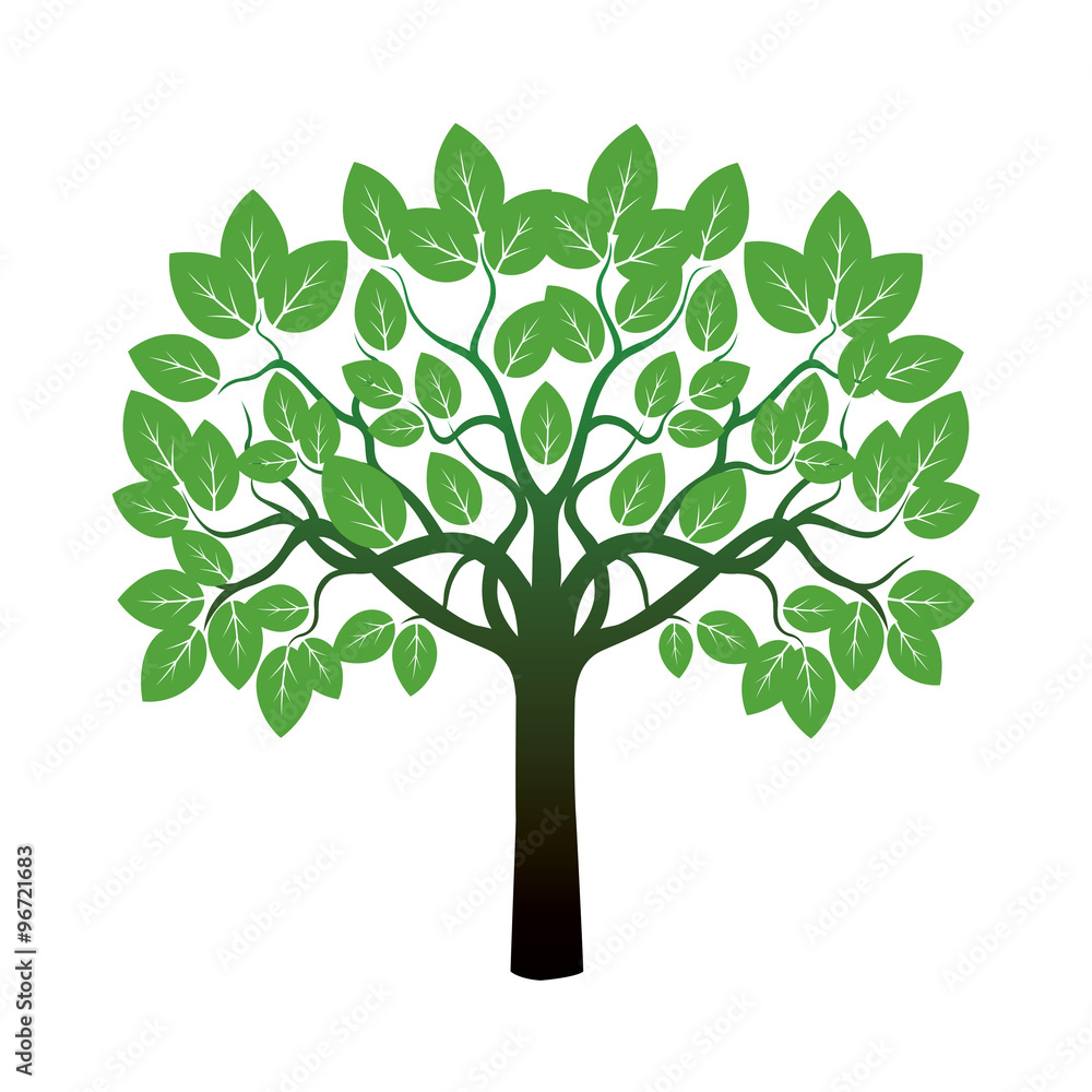 Obraz premium Green Tree. Vector Illustration.