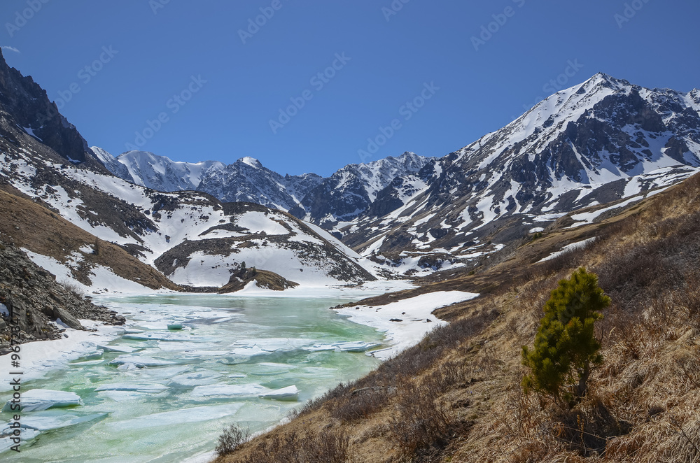 Lake in the mountains. Lake under the ice in the snowy mountains of Altai.