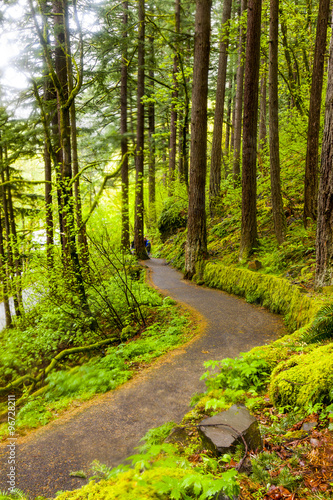 Scenic Trail in Columbia River Gorge, Oregon