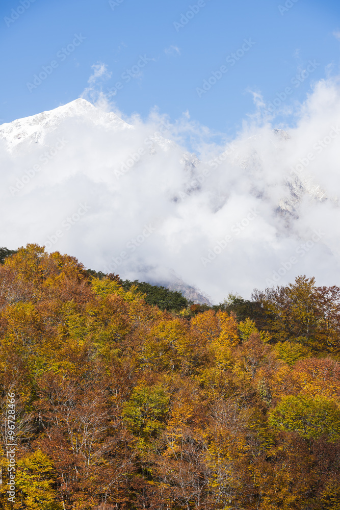 白馬の紅葉と雪山