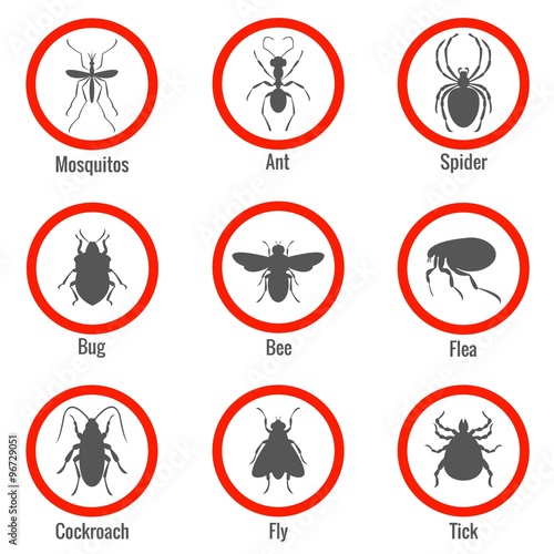 Pest and insect control, vector icons set