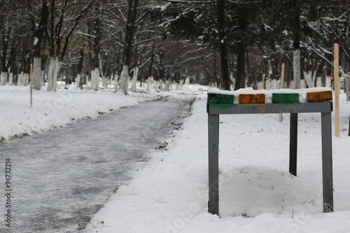Wallpaper Mural winter park path perspective Torontodigital.ca
