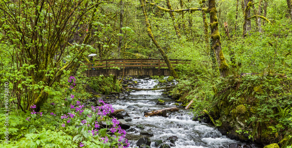 Cascading Creek Flow in Multnomah Oregon Cascading Creek Flow in Multnomah Oregon