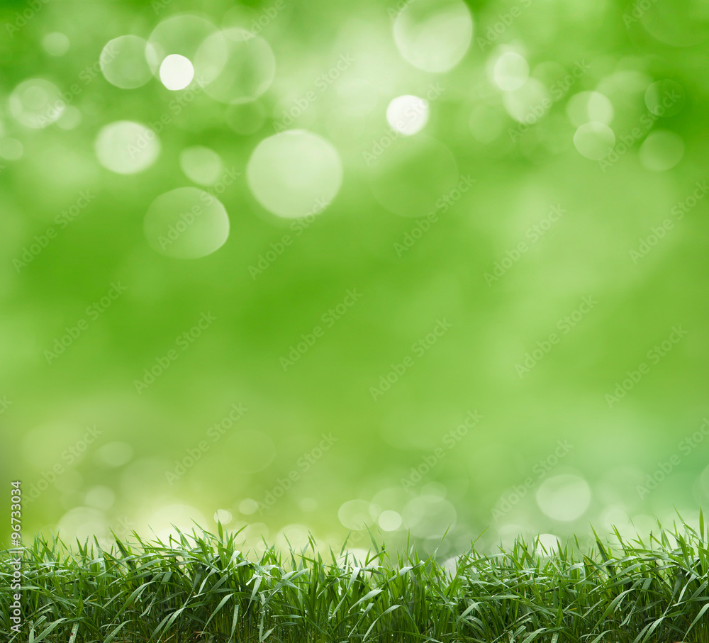 Soft defocused spring background Soft defocused spring background