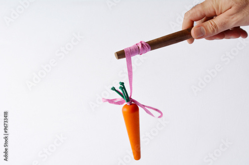 Man hand offering a carrot  on a stick
