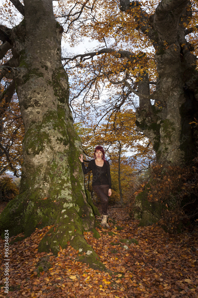 Donna dai capelli rossi cammina nel bosco Donna dai capelli rossi cammina nel bosco