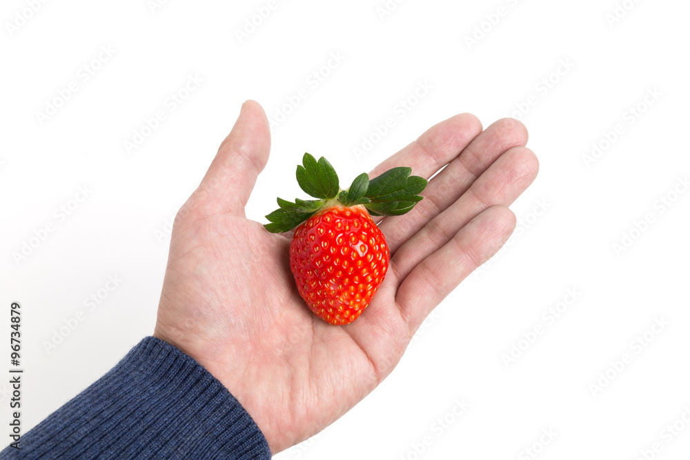 Obraz premium イチゴ とちおとめ